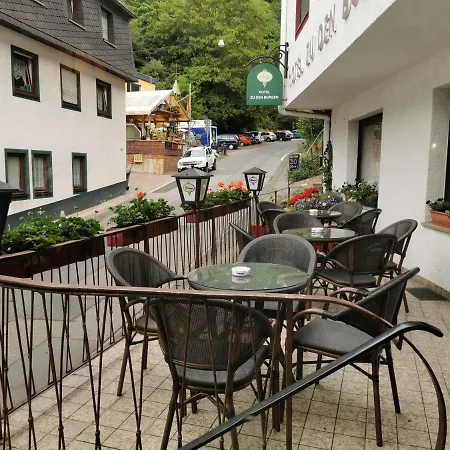 Zu Den Burgen Hotel Kamp-Bornhofen